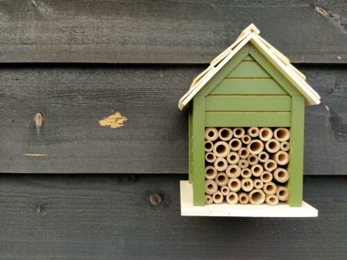 Bijenhuisje, bijenhotel, donkergroen, hout, tuin