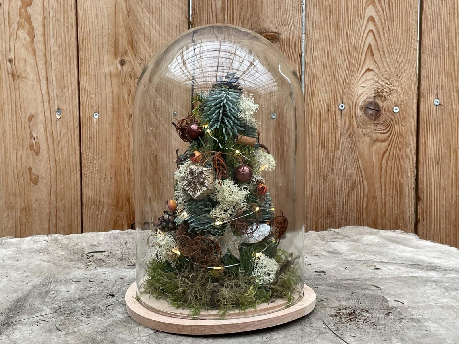 Melancholie statisch details Doe-het-zelf kerstpakket 4 "Glazen stolp met hout en lampjes" | DIY Kerst